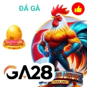 iwin68 Game 08